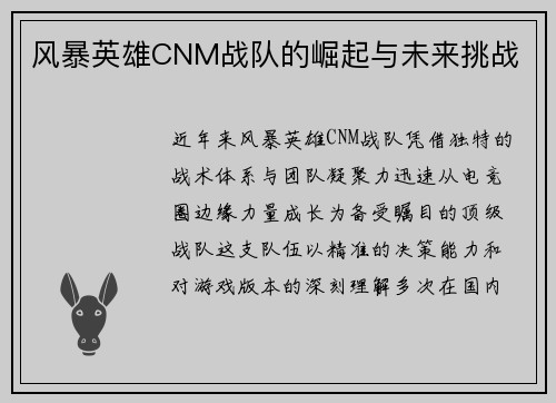 风暴英雄CNM战队的崛起与未来挑战